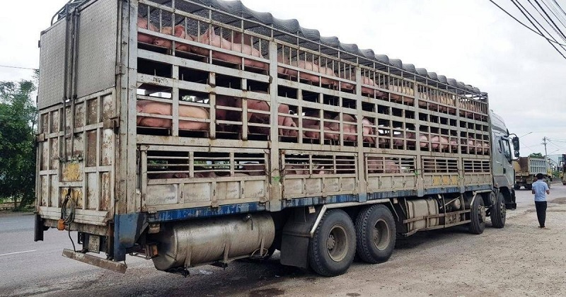 Hợp đồng vận chuyển - Vận tải Hùng Vương